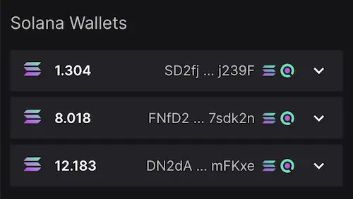 Multiple Wallets